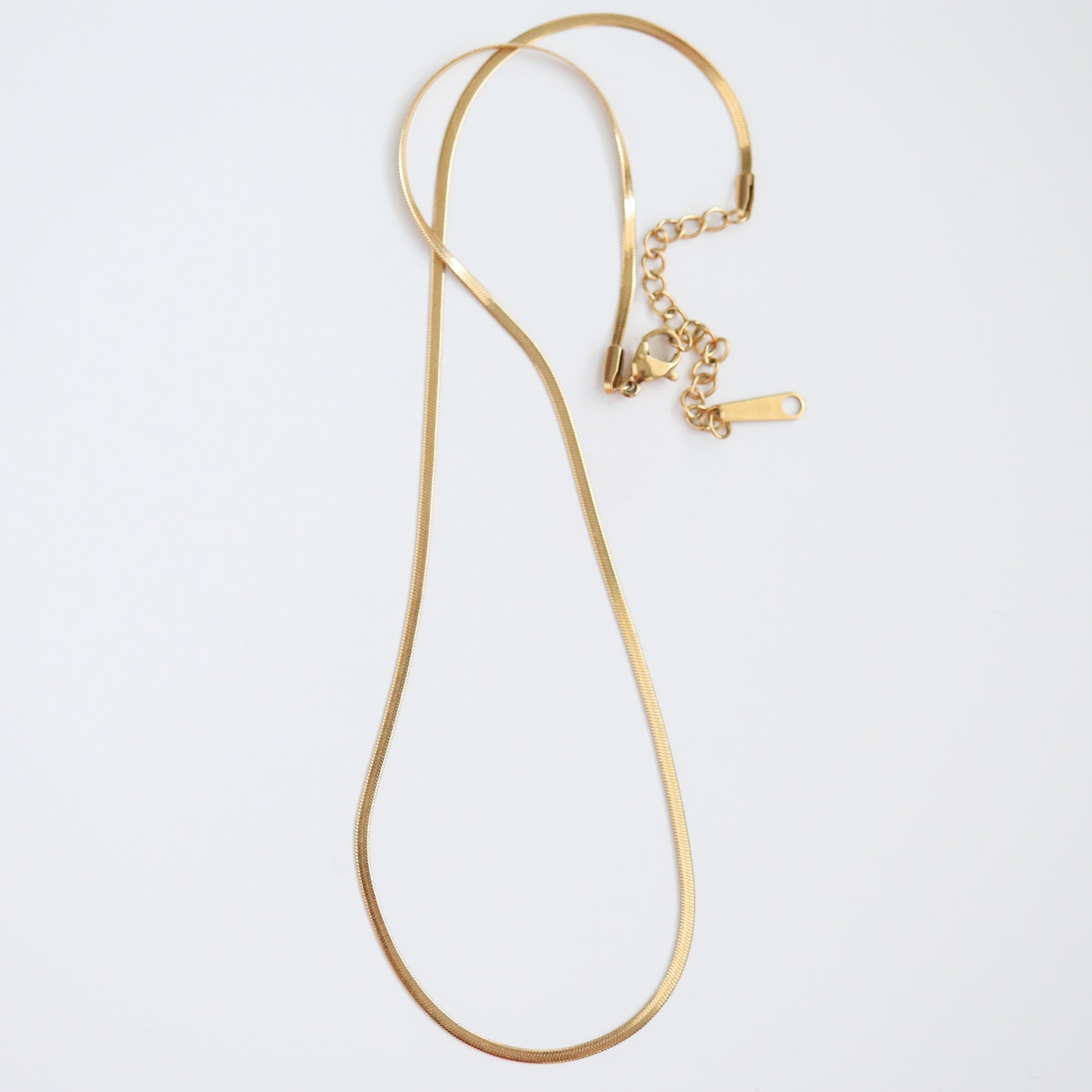 Snake Chain Necklace