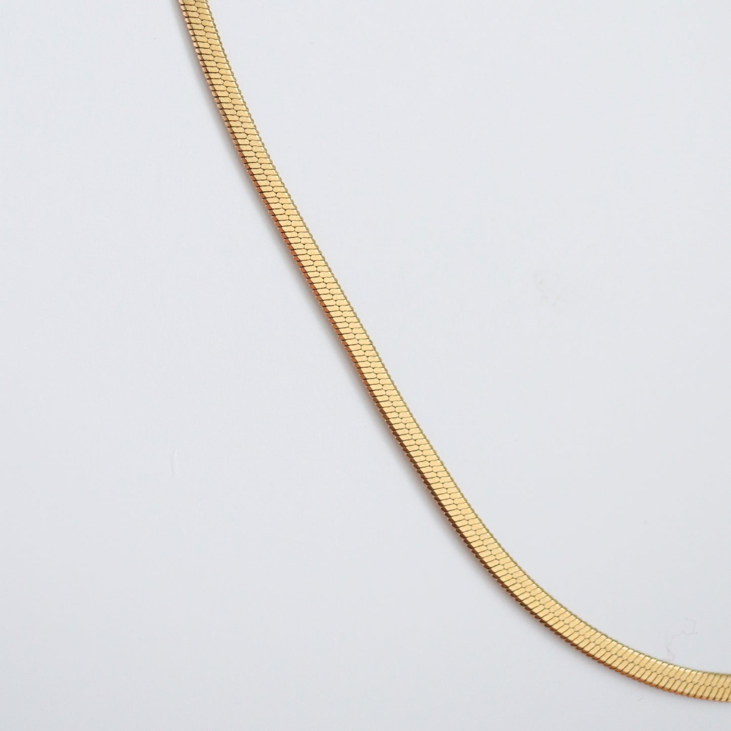 Snake Chain Necklace